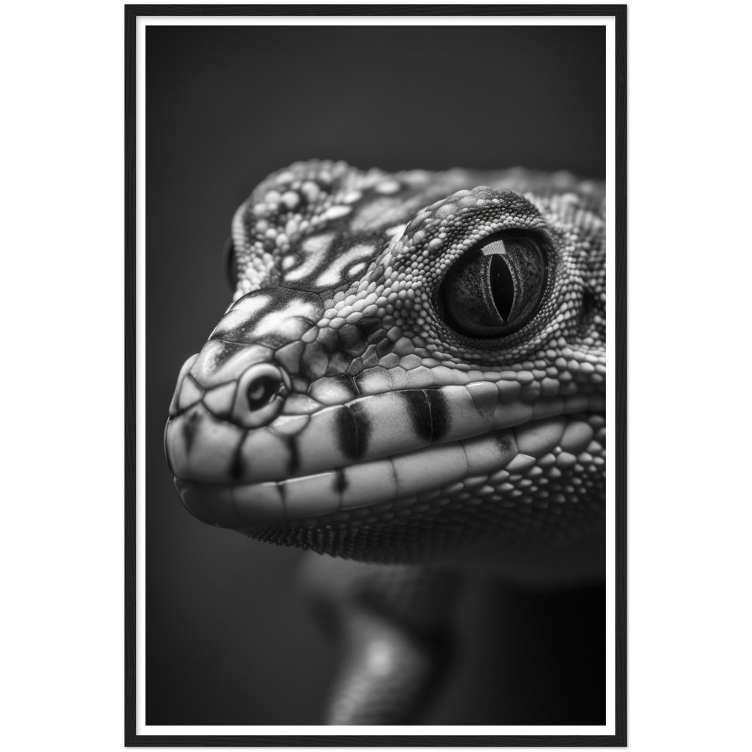 Gecko Gaze Photograph Wall Art Print