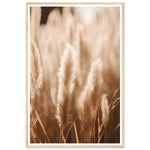 Load image into Gallery viewer, Hazy Pampas Close-Up Photograph Wall Art Print
