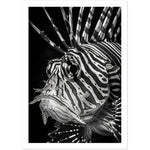 Load image into Gallery viewer, Regal Fins: Lionfish Close-Up
