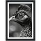 Peacock Perfection Photograph Wall Art Print