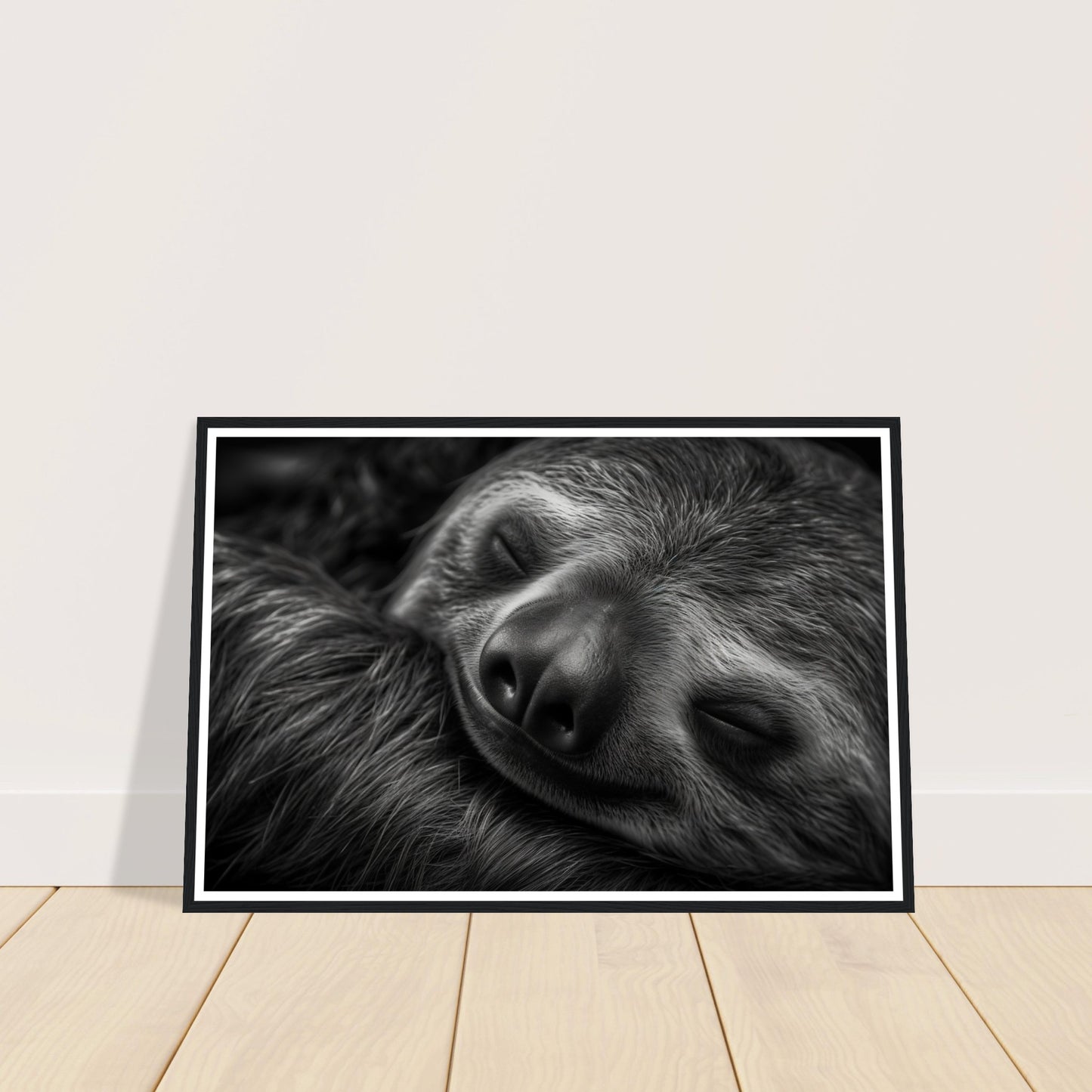 Sleeping Sloth Photograph Wall Art Print