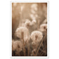 Hazy Dandelion Dreams Close-Up Photograph Wall Art Print