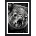 Load image into Gallery viewer, Koala&#39;s Close-Up Photograph Wall Art Print
