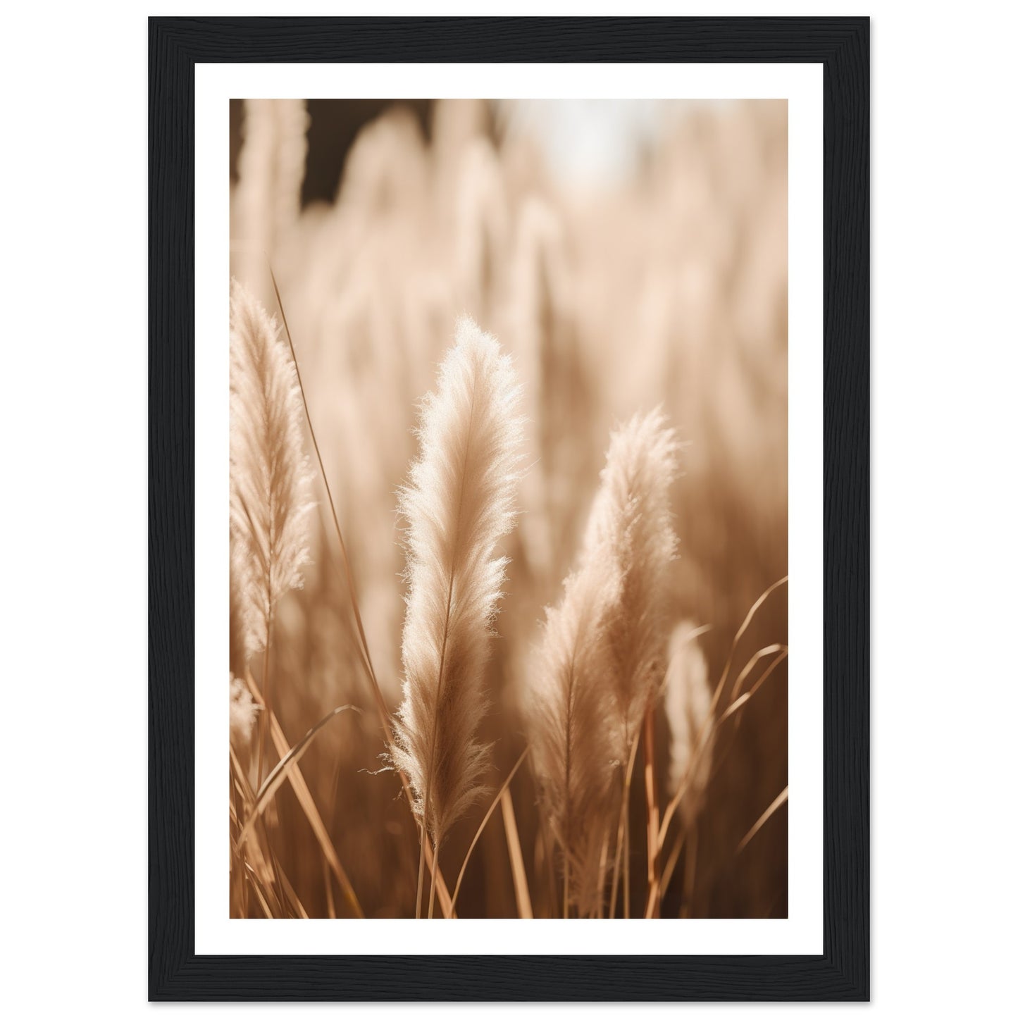 Hazy Pampas Close-Up Photograph Wall Art Print