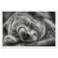 Close-Up of Sleeping Koala Photograph Wall Art Print