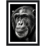 Load image into Gallery viewer, Chimp&#39;s Intense Gaze Photograph Wall Art Print