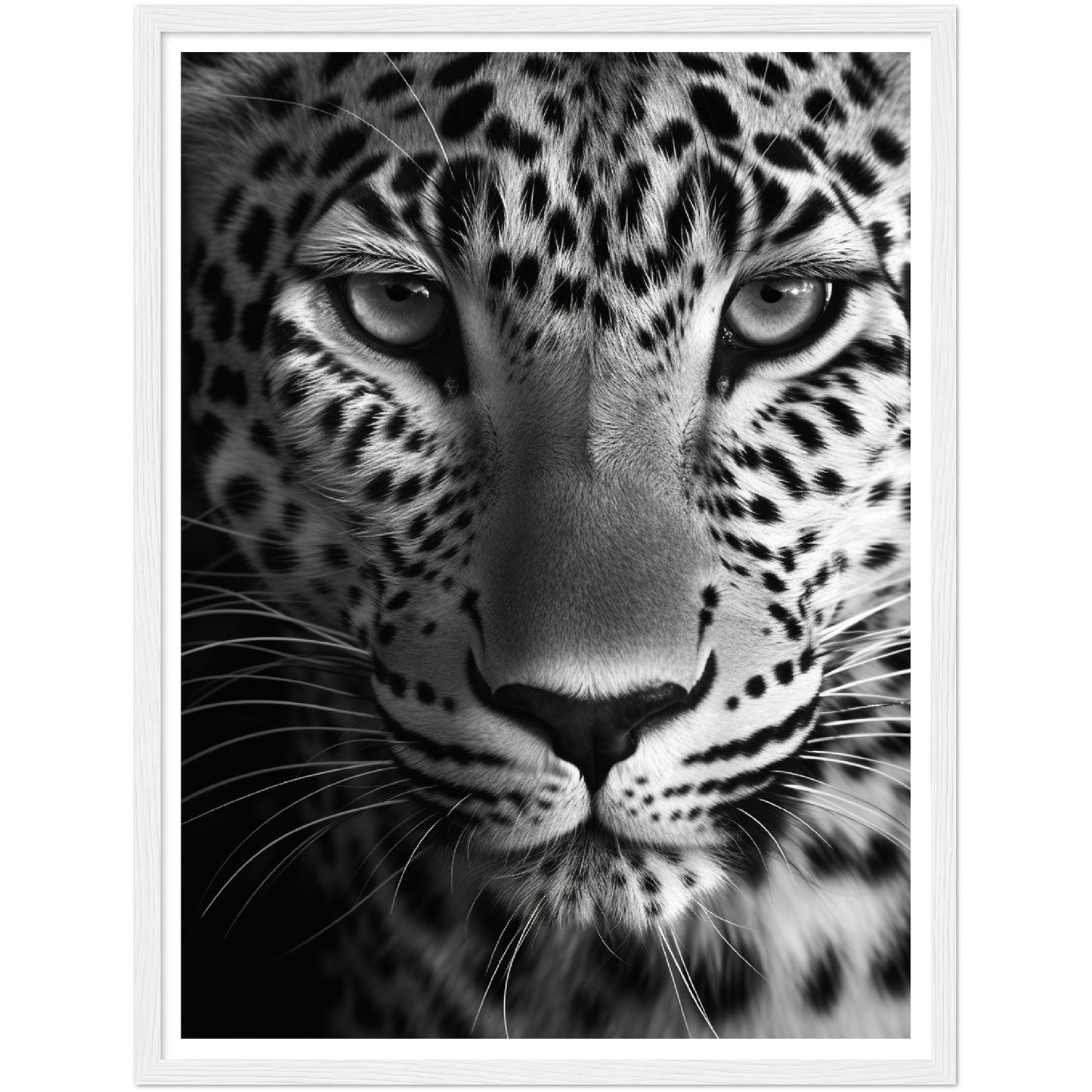 Leopard's Gaze Photograph Wall Art Print