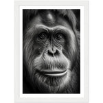 Load image into Gallery viewer, Wild Eyes Orangutan Photograph Wall Art Print