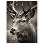 Load image into Gallery viewer, Regal Stag Close-Up