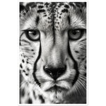 Load image into Gallery viewer, Cheetah&#39;s Gaze Photograph Wall Art Print
