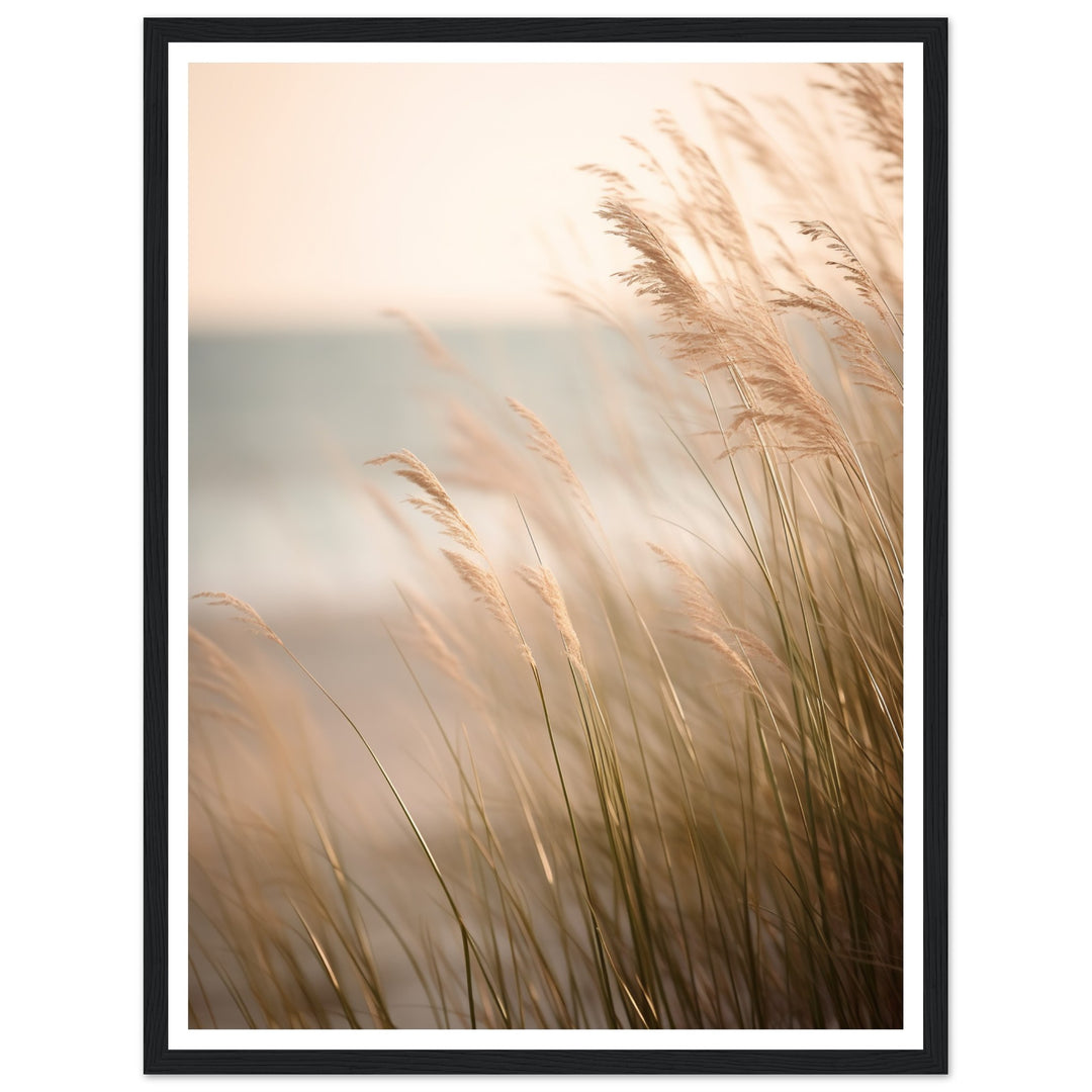 Hazy Beach Grass Close-Up Photograph Wall Art Print