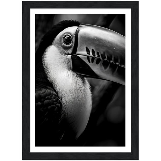 Toucan's Gaze Photograph Wall Art Print