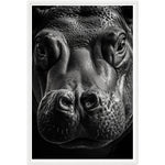 Load image into Gallery viewer, Close-Up Hippo Photograph Wall Art Print