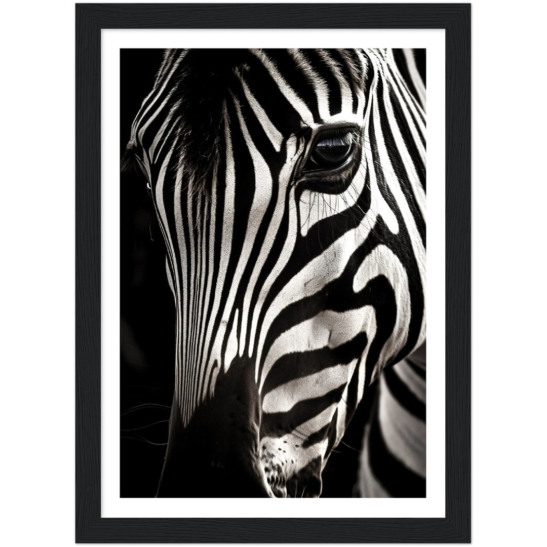 Close-up Zebra Photograph Wall Art Print