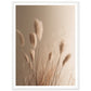 Hazy Reeds in Natural Hues Photograph Wall Art Print