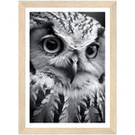Load image into Gallery viewer, Intense Gaze: Owl Photograph Wall Art Print
