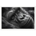 Load image into Gallery viewer, Close-Up of Sleeping Gorilla Photograph Wall Art Print