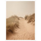 Hazy Beach Dune Pathway Photograph Wall Art Print