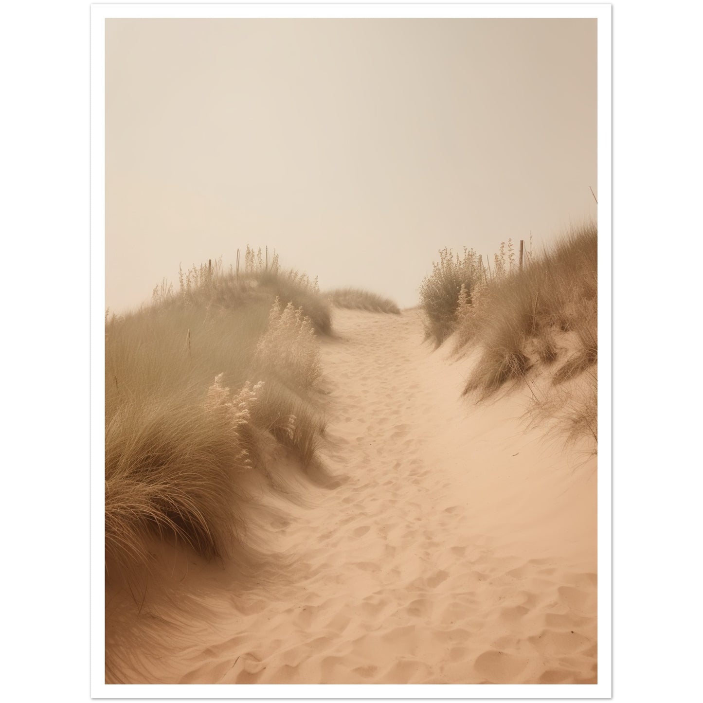 Hazy Beach Dune Pathway Photograph Wall Art Print