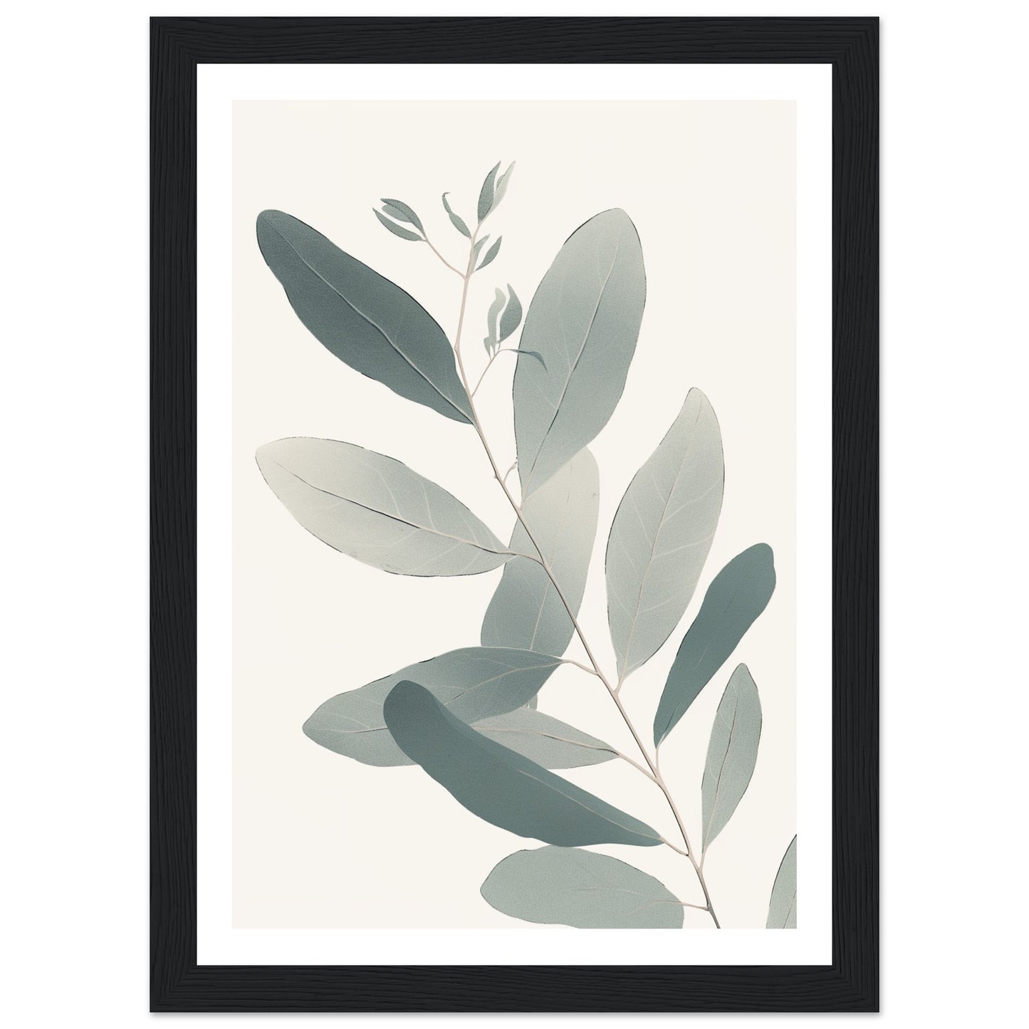 Soft Colored Eucalyptus Illustration