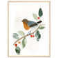 Pretty Perched Robin Wall Art Print