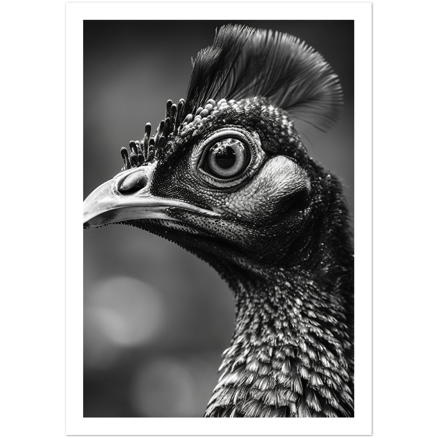 Peacock Perfection Photograph Wall Art Print