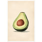 Tasty Sliced Avocado Kitchen Wall Art Print