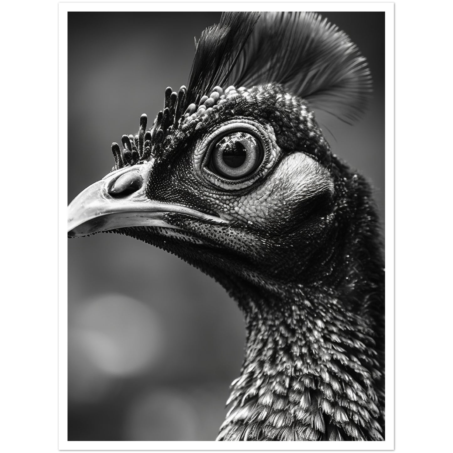 Peacock Perfection Photograph Wall Art Print