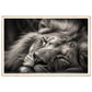 Regal Rest - Serene Sleeping Lion Photography