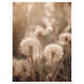 Hazy Dandelion Dreams Close-Up Photograph Wall Art Print