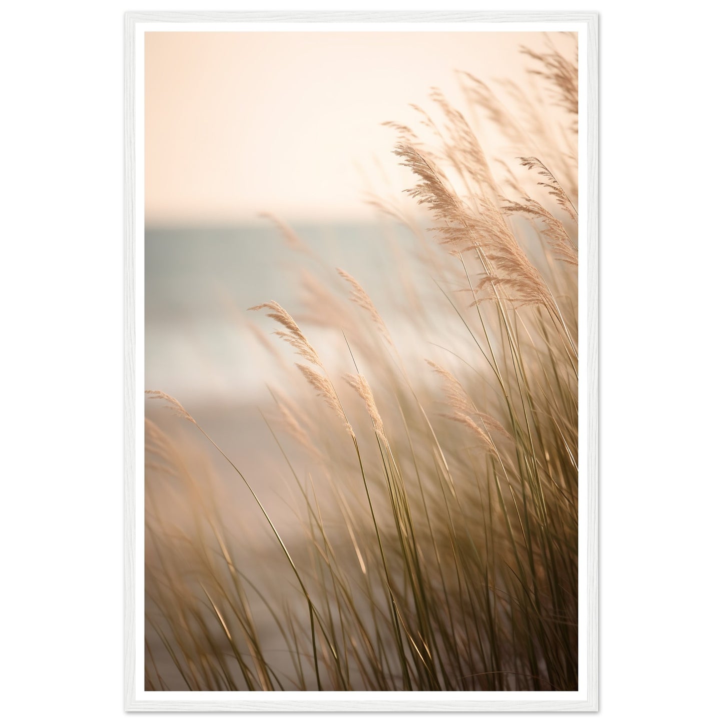 Hazy Beach Grass Close-Up Photograph Wall Art Print