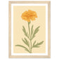 Marigold Flower Pastel Petals Wall Art Print