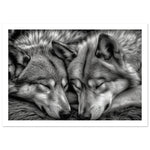 Load image into Gallery viewer, Serenity of the Pack - Sleeping Wolves
