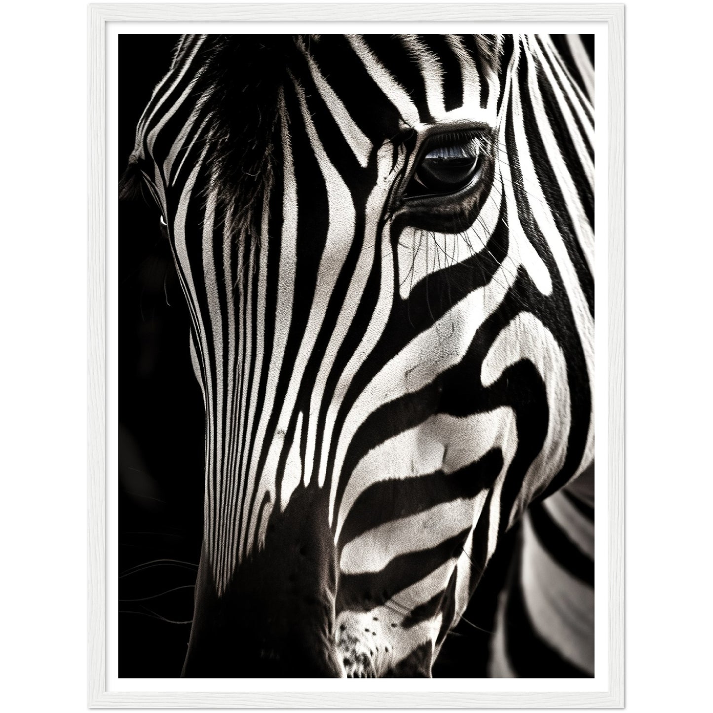 Close-up Zebra Photograph Wall Art Print