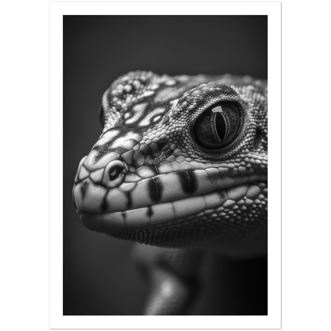 Gecko Gaze Photograph Wall Art Print