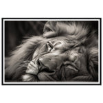 Load image into Gallery viewer, Regal Rest - Serene Sleeping Lion