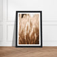 Hazy Pampas Close-Up Photograph Wall Art Print