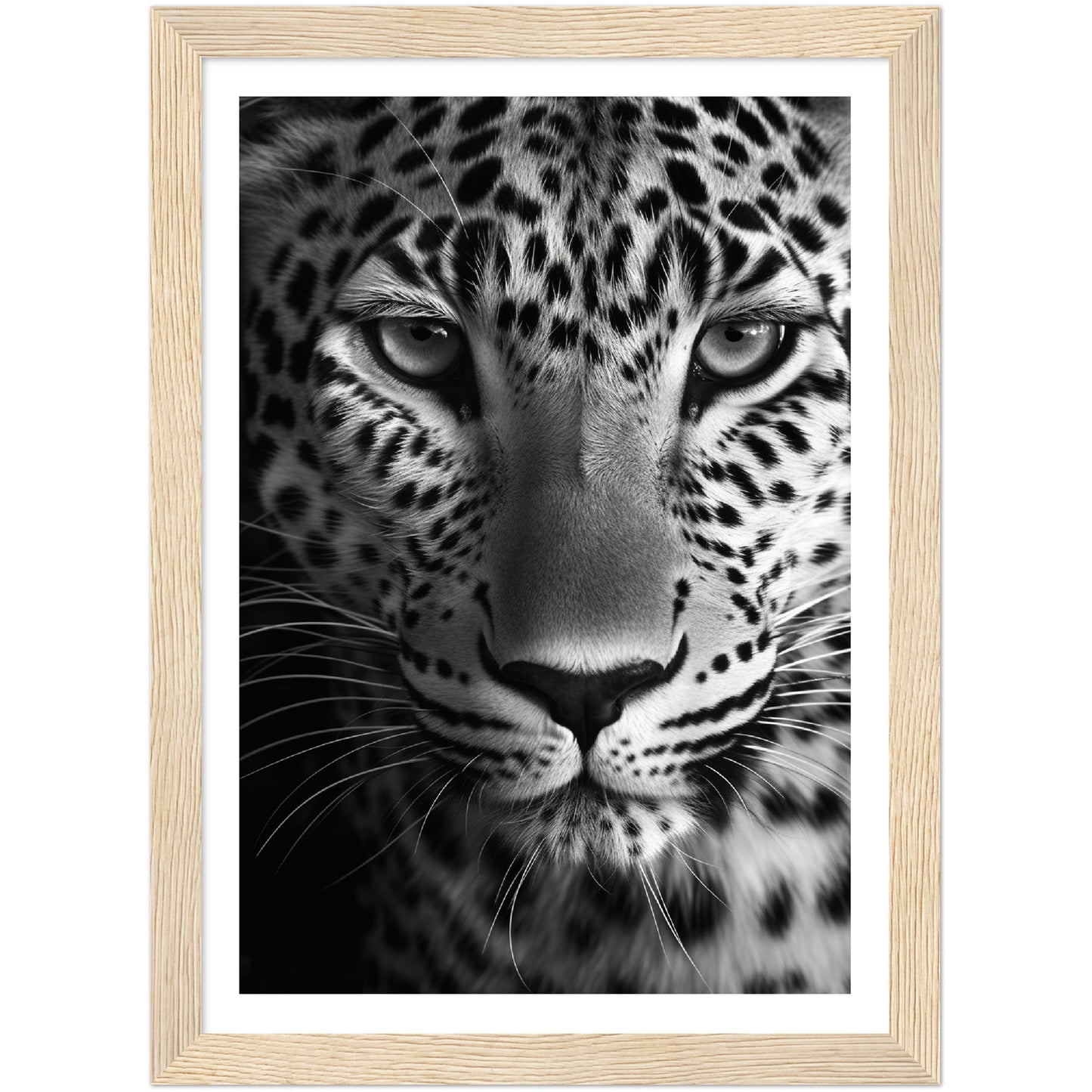 Leopard's Gaze Photograph Wall Art Print