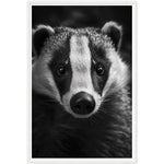 Load image into Gallery viewer, Badger Photograph Wall Art Print
