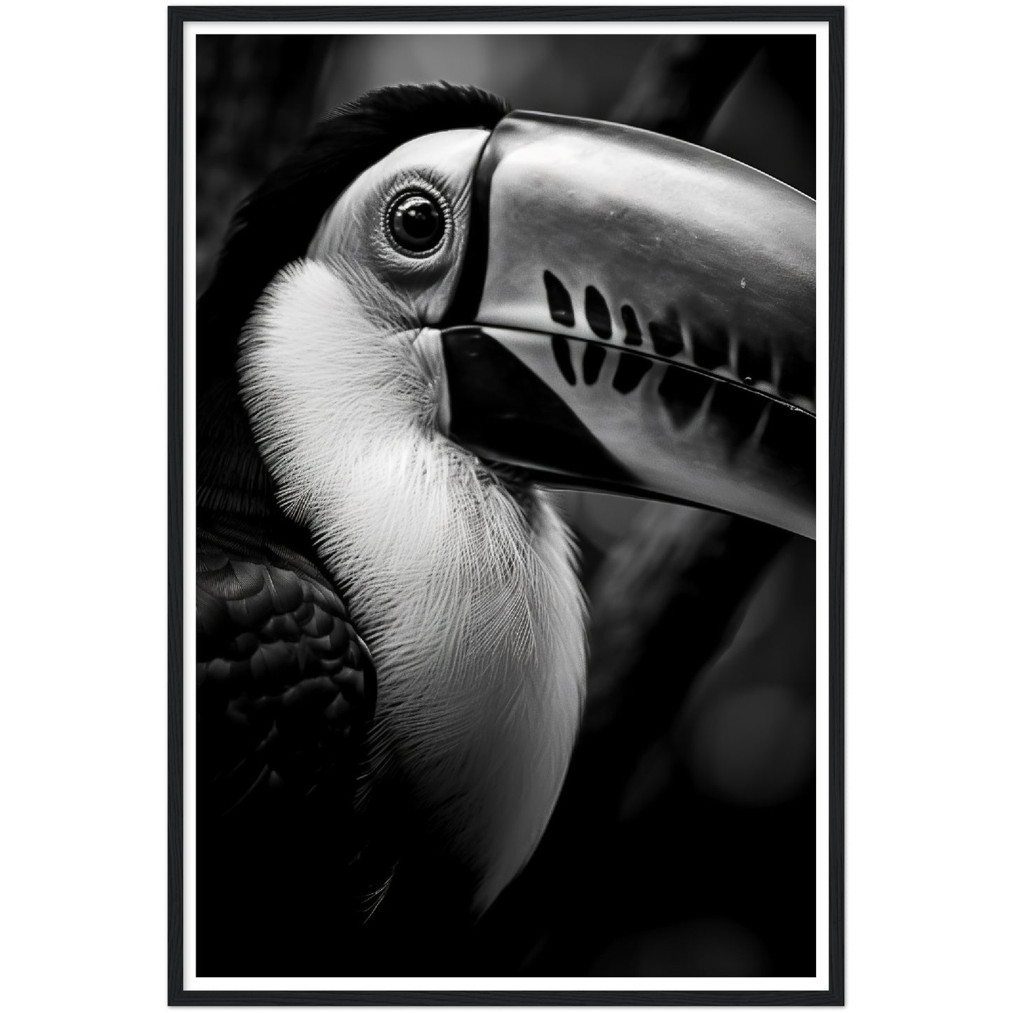 Toucan's Gaze Photograph Wall Art Print