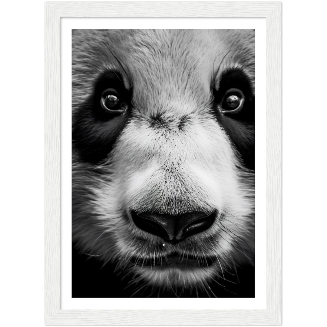 Panda Pose Perfection Photograph Wall Art Print