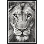 Load image into Gallery viewer, Lion Roar in Monochrome Photograph Wall Art Print
