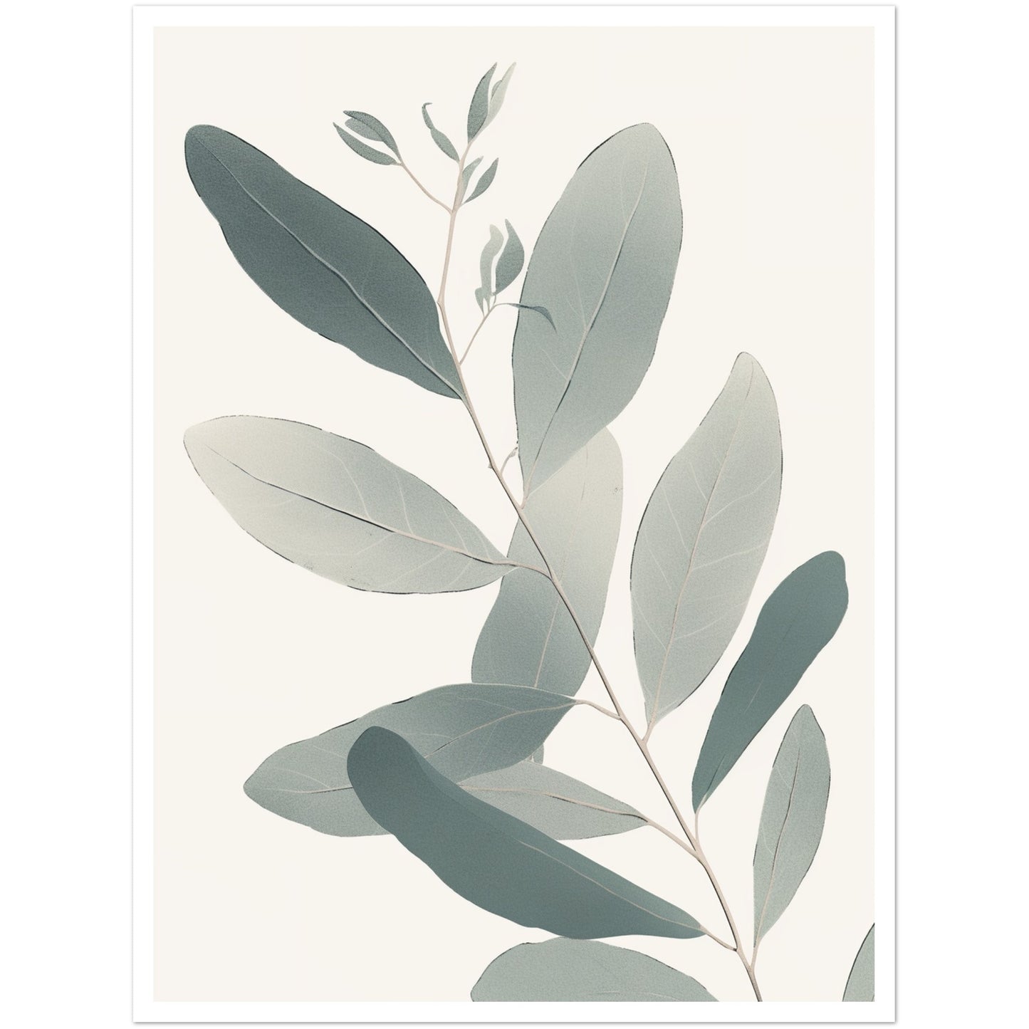 Soft Colored Eucalyptus Illustration