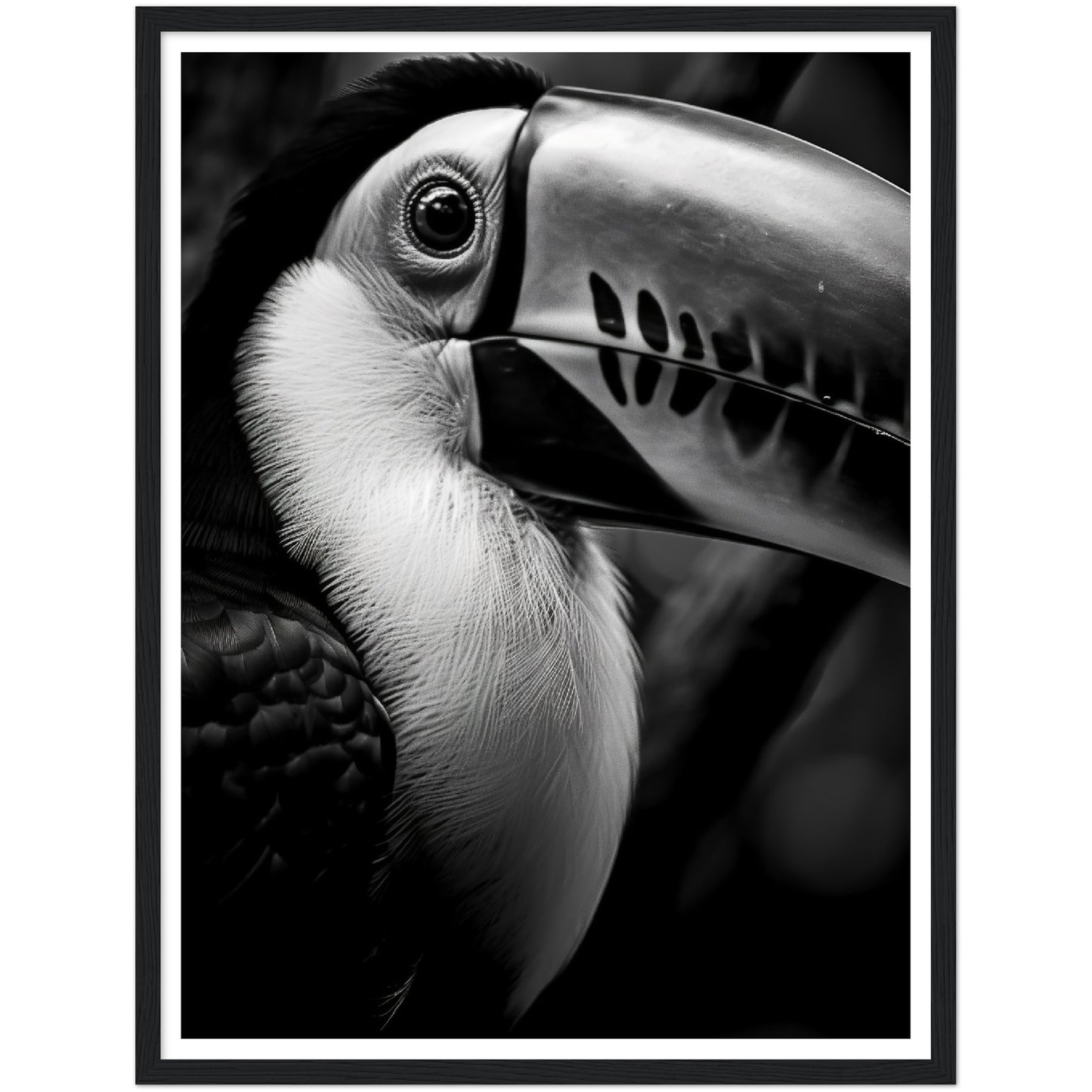 Toucan's Gaze Photograph Wall Art Print