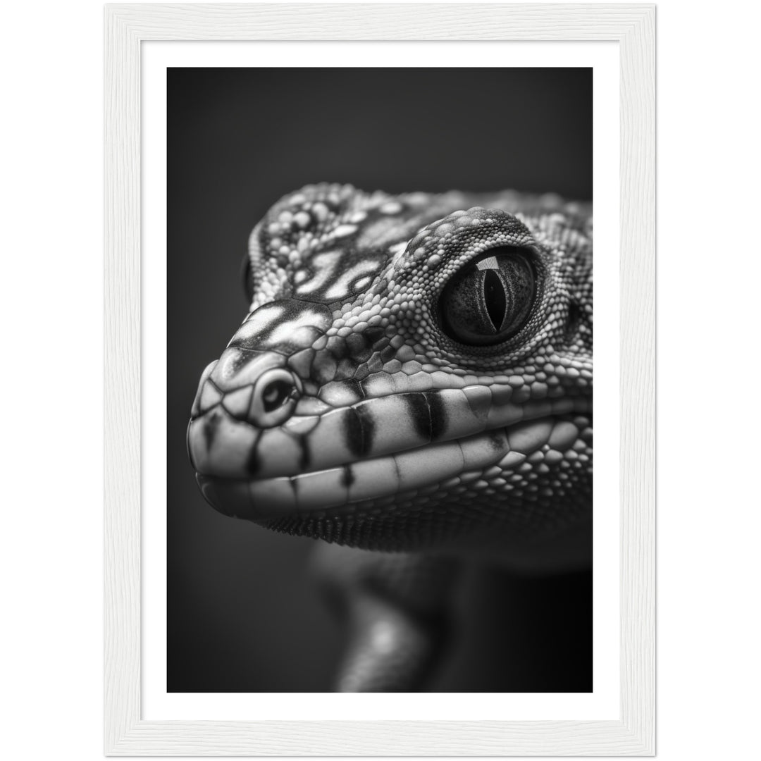 Gecko Gaze Photograph Wall Art Print