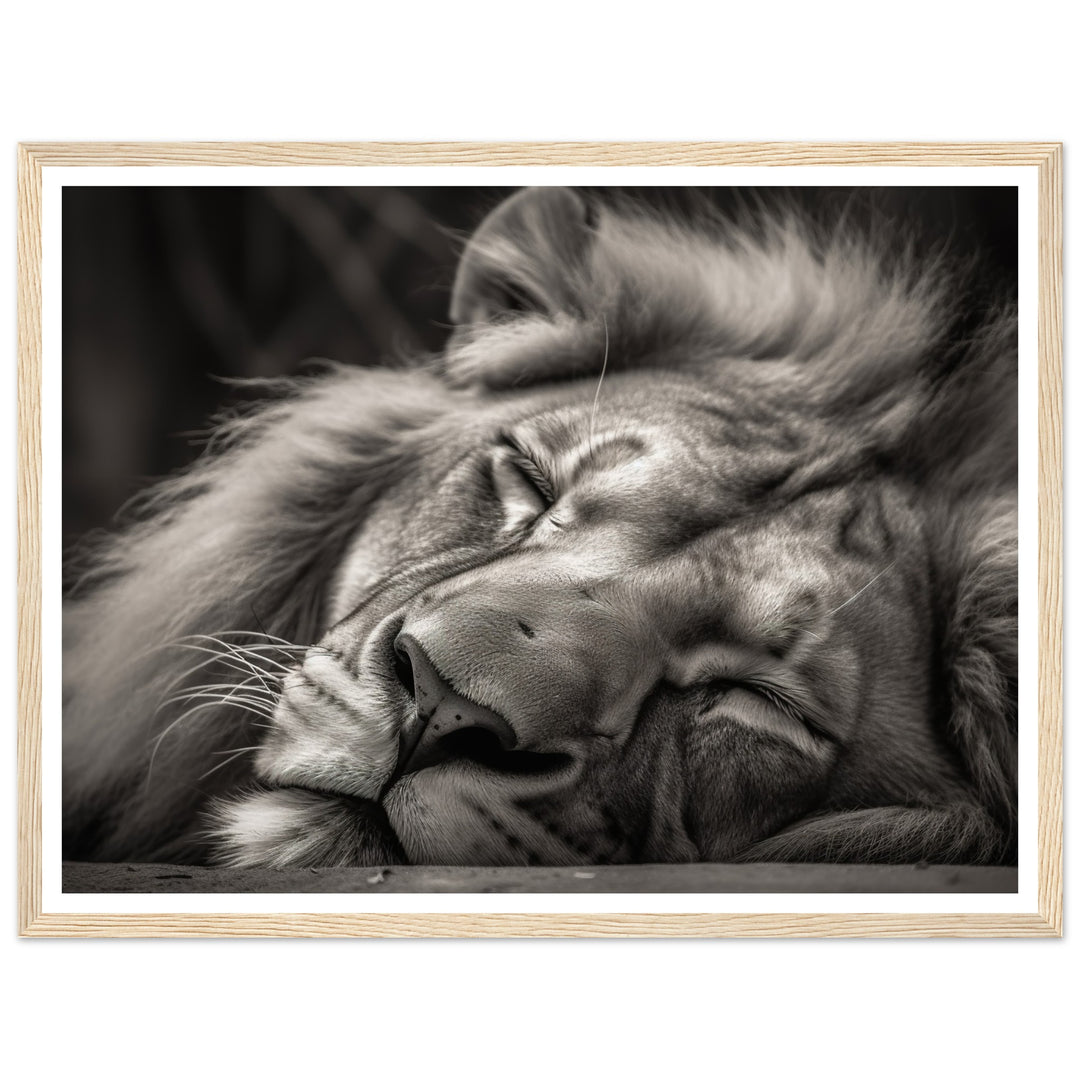 Regal Rest - Serene Sleeping Lion