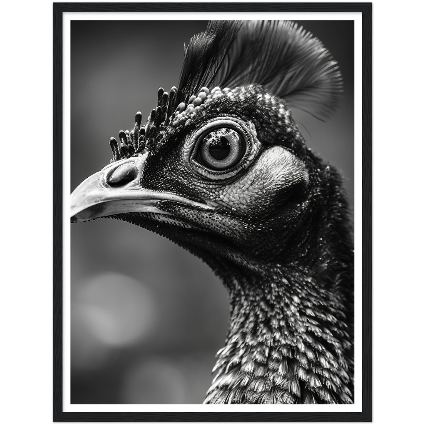 Peacock Perfection Photograph Wall Art Print