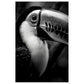 Toucan's Gaze Photograph Wall Art Print