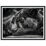 Load image into Gallery viewer, Serene Sleeping Panther
