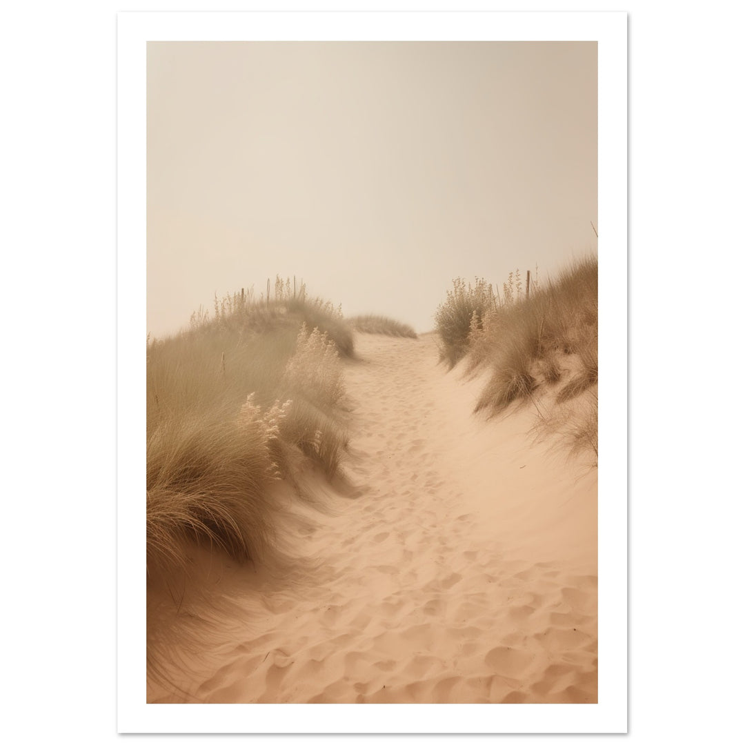 Hazy Beach Dune Pathway Photograph Wall Art Print